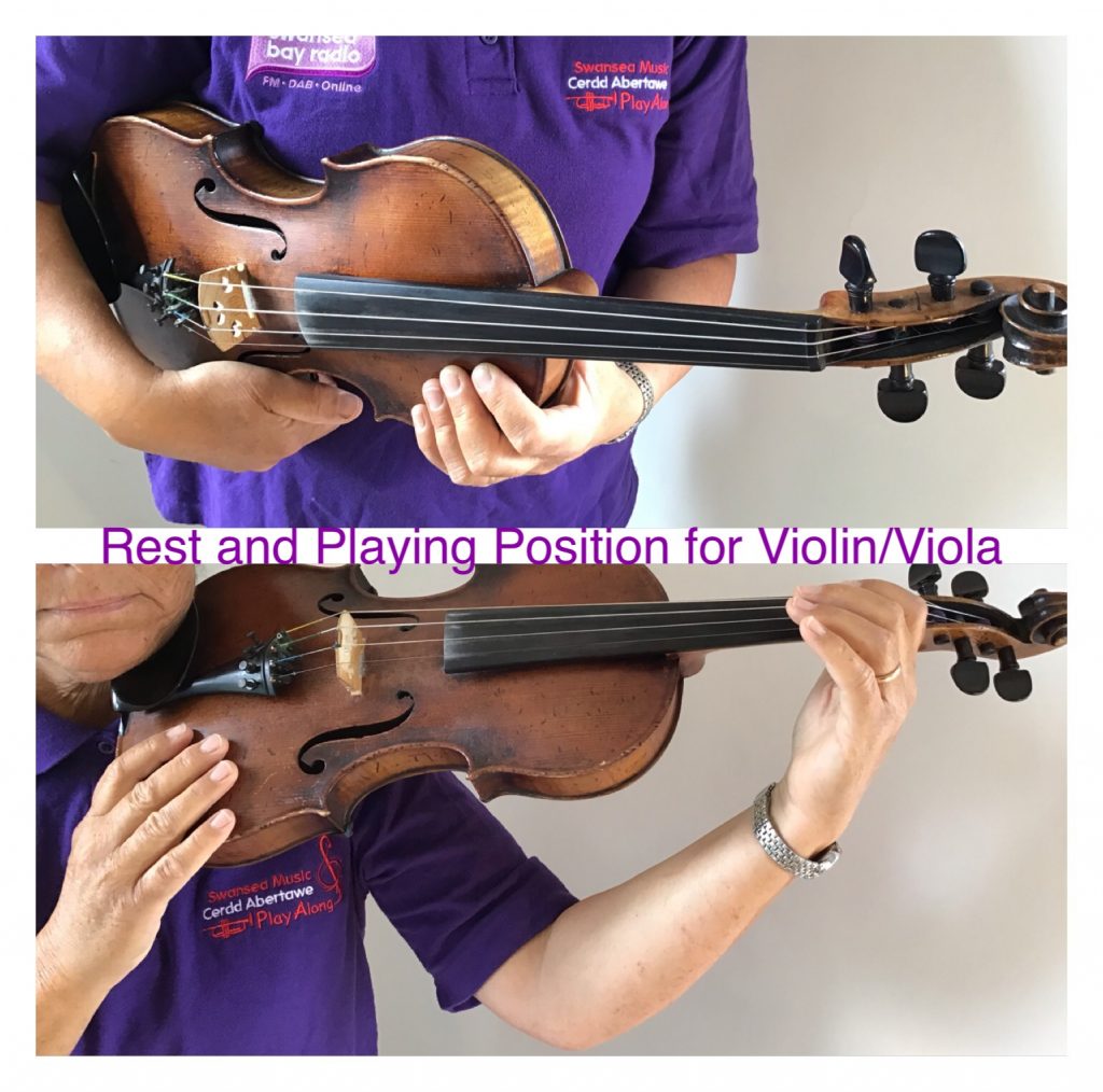 Rest and Playing Position Violin Viola
